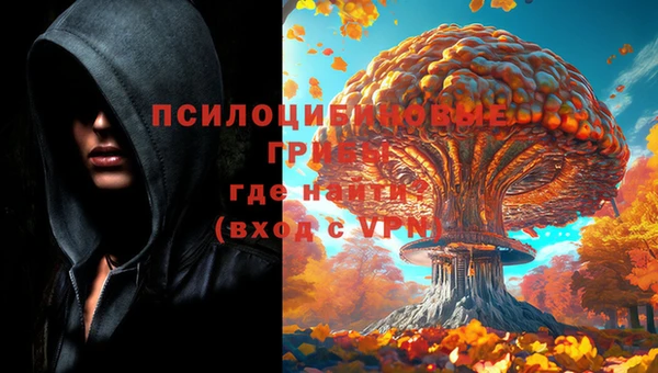 каннабис Заводоуковск
