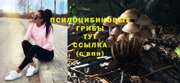СК Заволжье