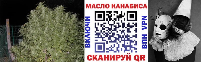 как найти   мега   ТГК концентрат  Щёлково 