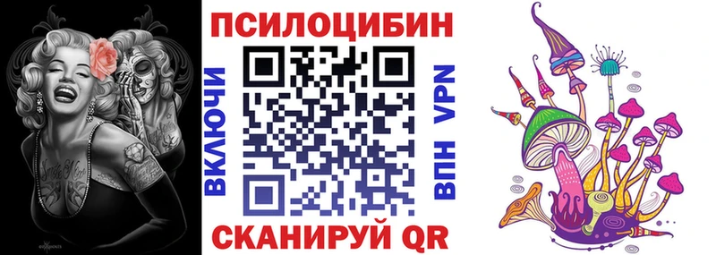 блэк спрут зеркало  Щёлково  Галлюциногенные грибы Psilocybine cubensis 