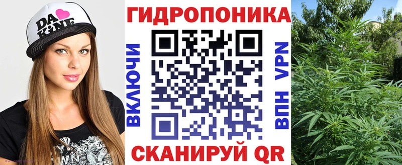 kraken как войти Щёлково Каннабис сатива